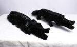 CROCODILE – Image 2