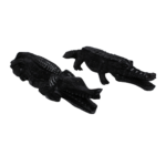 CROCODILE – Image 4