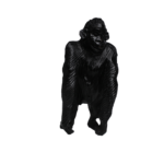 Gros Gorille – Image 4